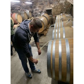 Marcel Schweikart / Württemberg / Tyskland