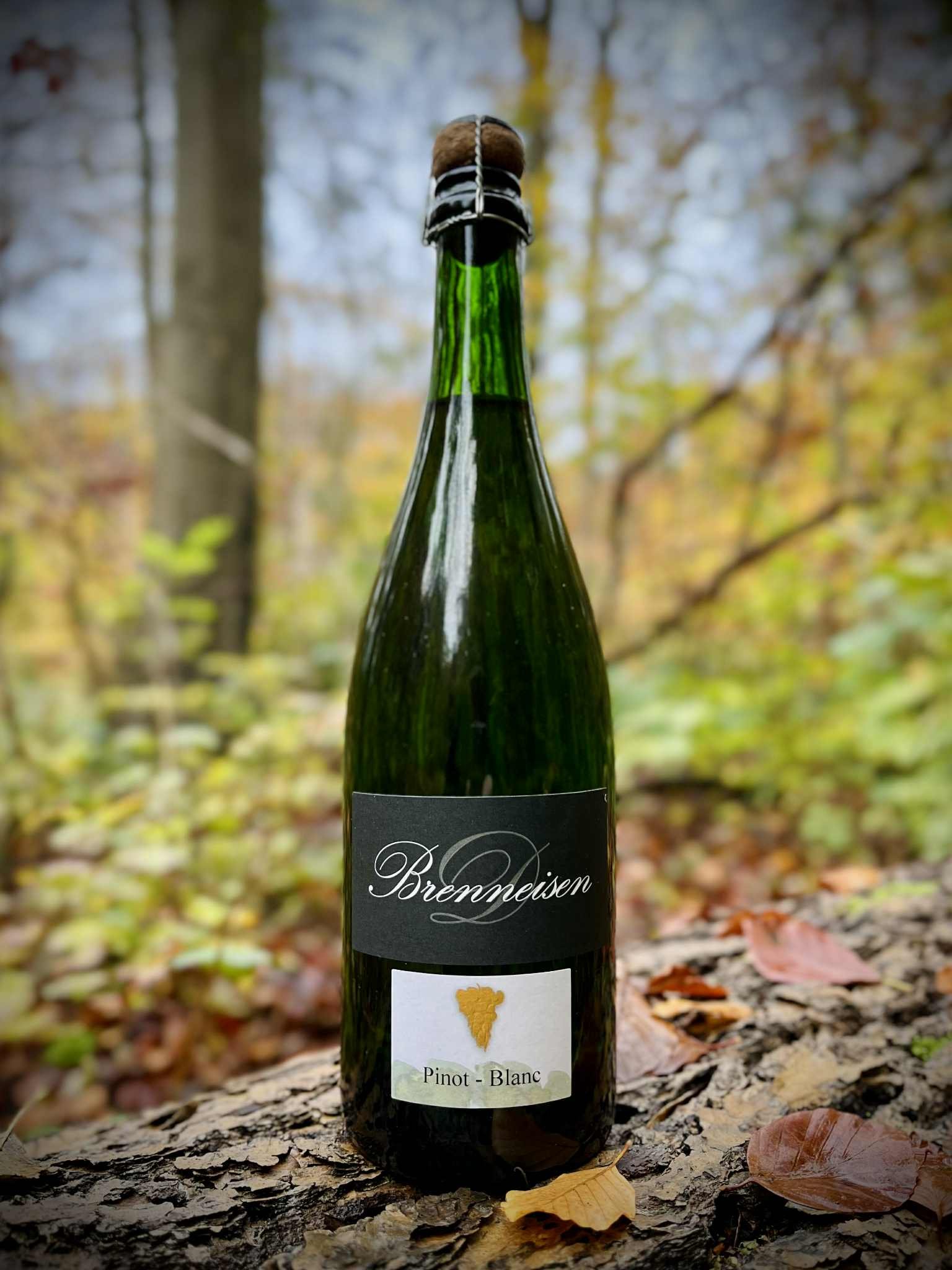 Dirk Brenneisen - Pinot Blanc Sekt