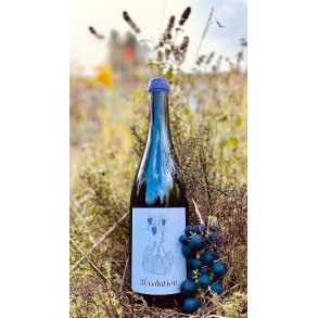 Oenosapiens - Revolution Malbec