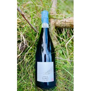 Lena Macht Sekt - Blanc de Blancs