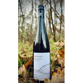 Stefan Buchmayer - Gruner Veltliner Weinviertel