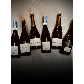 Den ultimate SEKT-kasse jul/nyt�r 2025