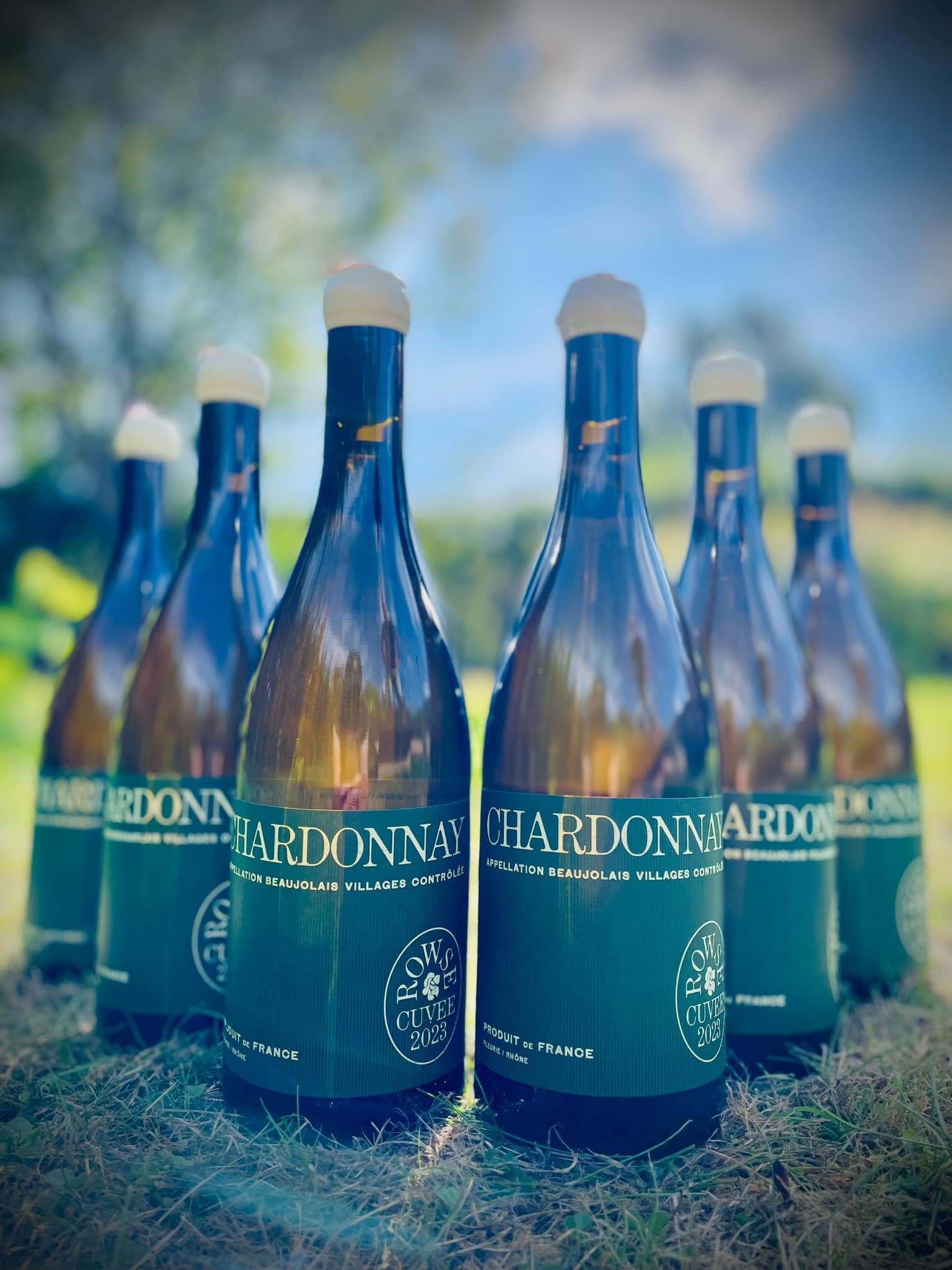 6 stk. Domaine Rowse - Chardonnay