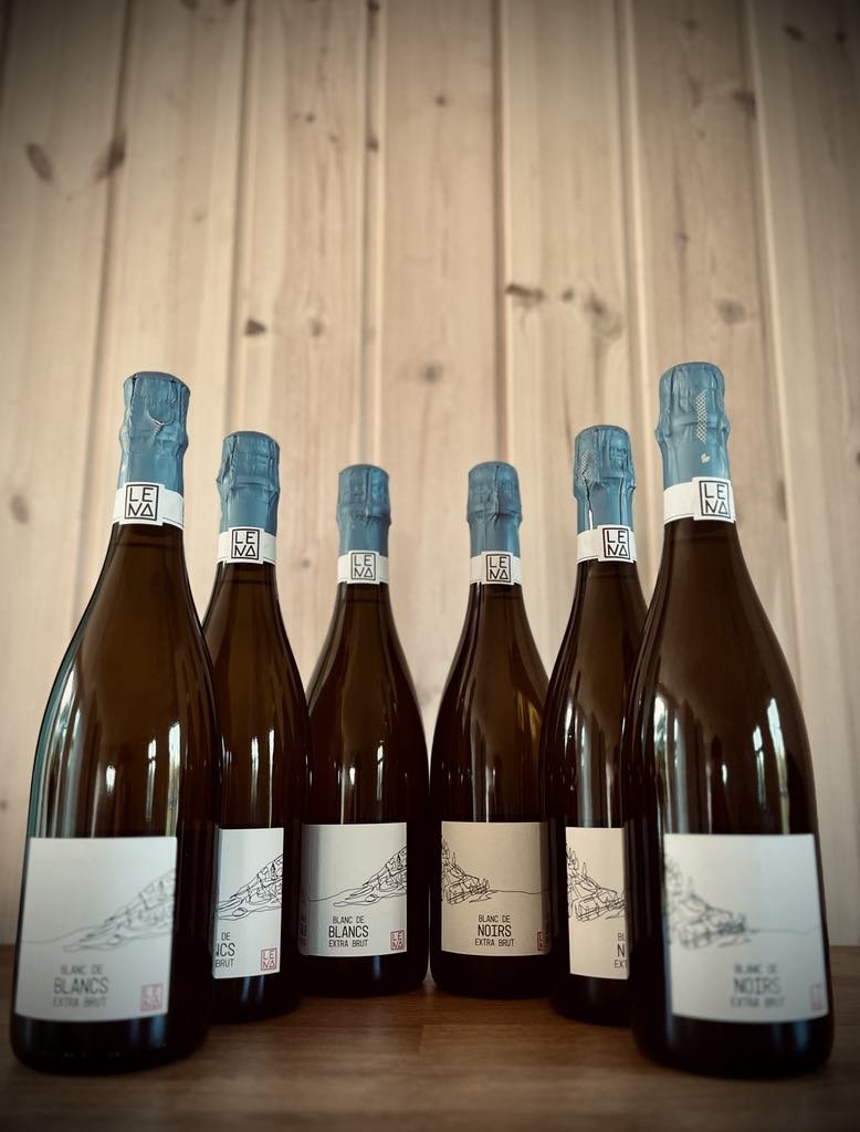 3 stk. Blanc de Blanc + 3 stk. Blanc de Noir - Lena Macht Sekt