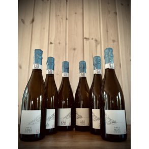 3 stk. Blanc de Blanc + 3 stk. Blanc de Noir - Lena Macht Sekt