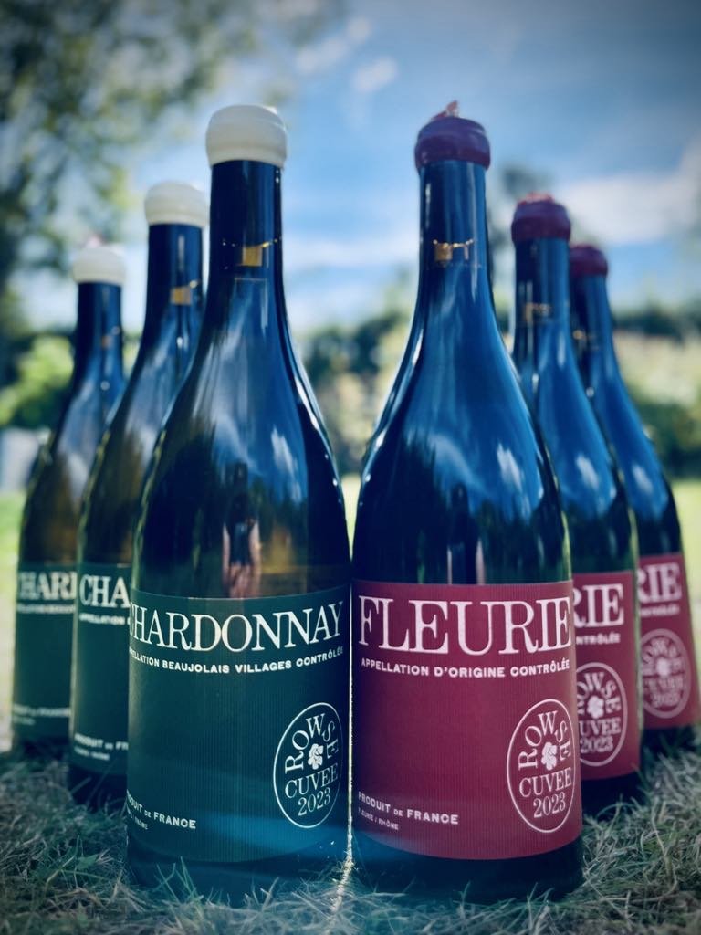 Domaine Rowse - 3 stk. Chardonnay + 3 stk. Gamay 
