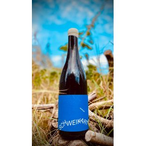 Marcel Schweikart - Lemberger