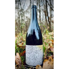 Stefan Buchmayer - Gruner Veltliner